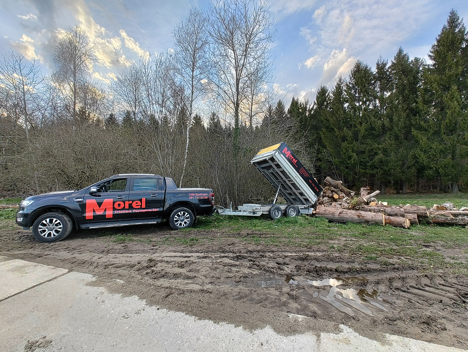 Morel-Creations-Elagage-Soins-Evacutation-Voiture