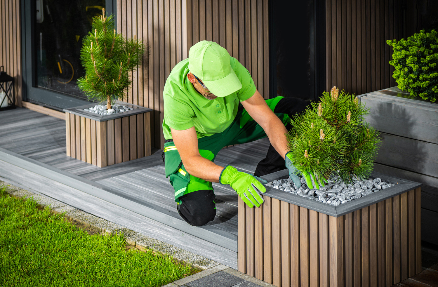 Building Modern Elegant Backyard Garden Decorated with Pine Tree
