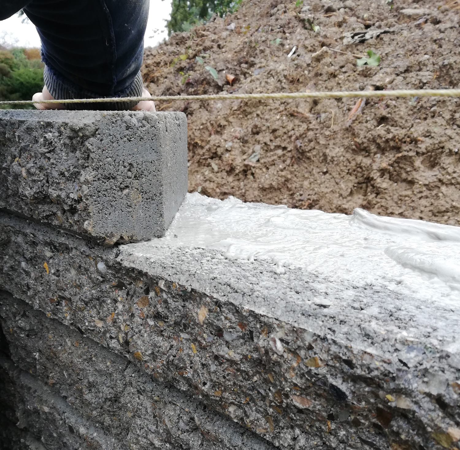 Morel-Creations-Paysageres-Amenagement-exterieur-Mur