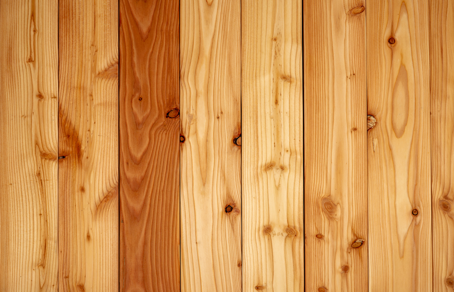 Morel-Creations-Paysageres-Cloture-Palissade-Bois