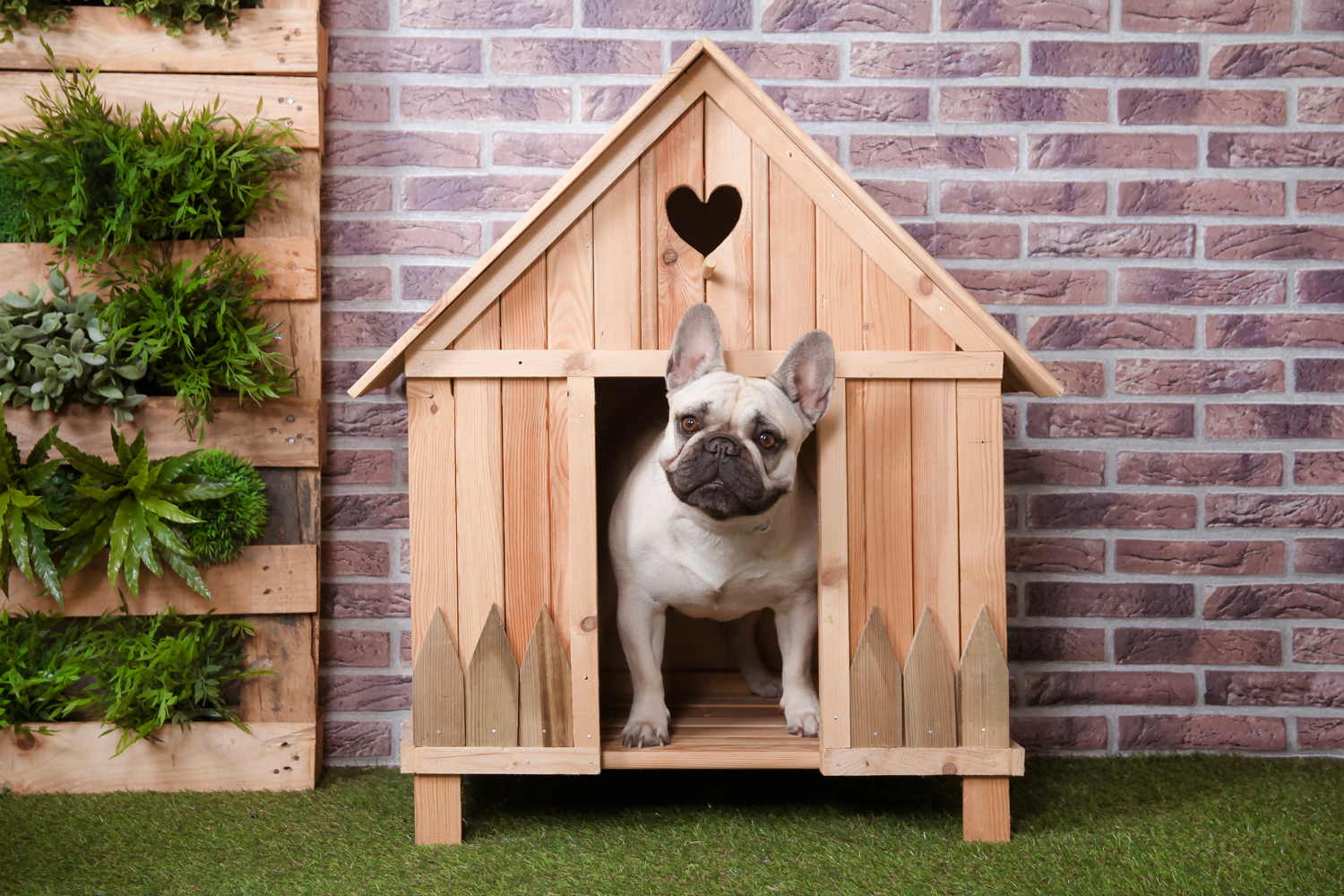 Morel-Creations-Paysageres-Construction-Bois-Niche-pour-chien