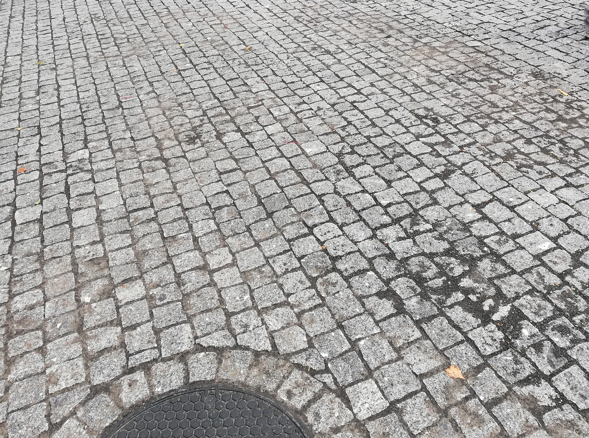 Morel-Creations-Paysageres-Galerie-Sol-3